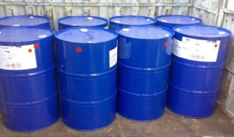 正葵酸马来椰树